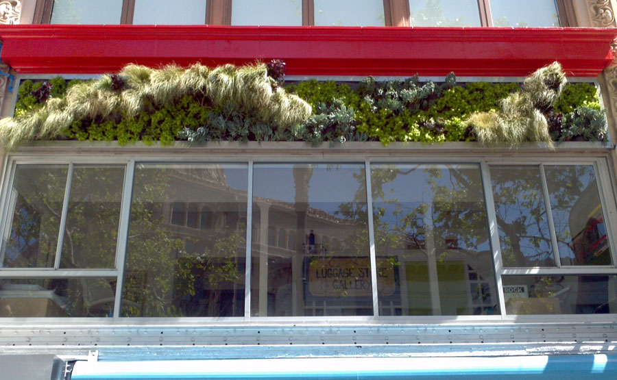 Luggage Store Living Wall