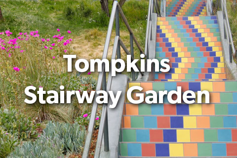Tompkins Stairway Garden