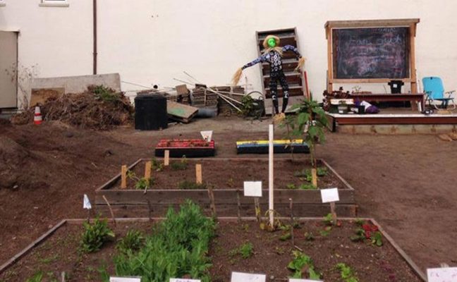 Far Out West Community Garden