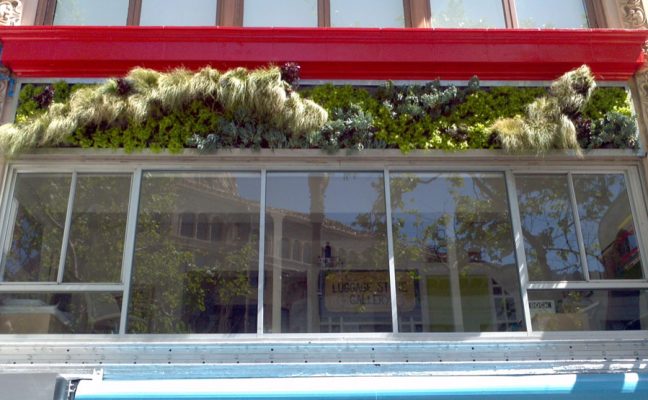 Luggage Store Living Wall