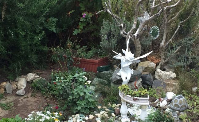 Sustainable Magic of San Francisco