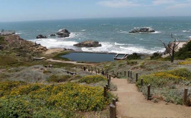 Land’s End/GGNRA Trail Revitalization