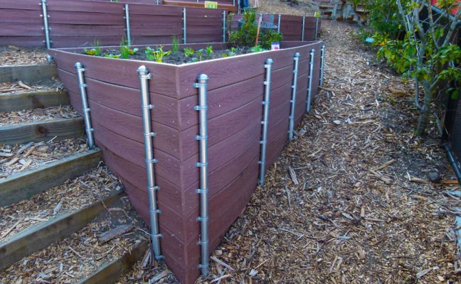 Alice Fong Yu School Garden