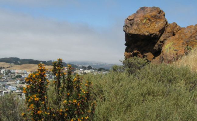 Bayview Hill Restoration