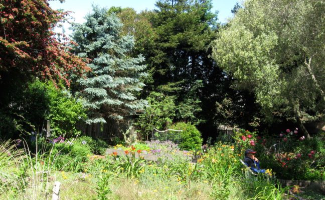 Noe Valley Association Community Benefit District