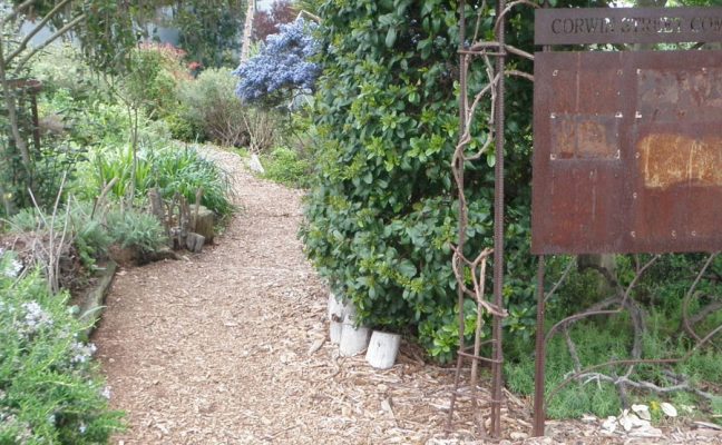 Corwin Street Community Garden