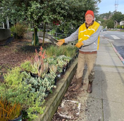 diamondheightsunplanted