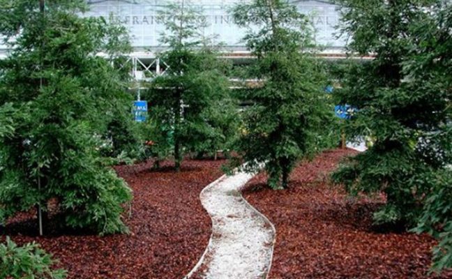 San Francisco Airport Gateway Garden