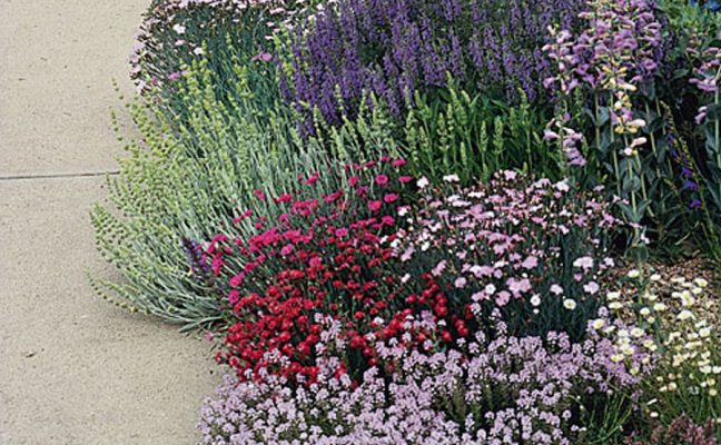 Harkness Avenue Beautification