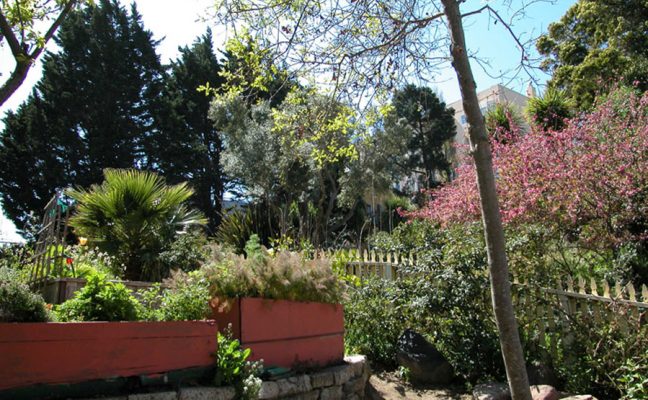 Daniel E. Koshland Park and Community Garden