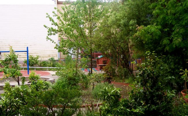 Los Americas Child Development Center School Garden
