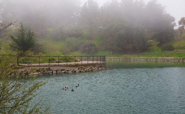 McNab Lake Restoration