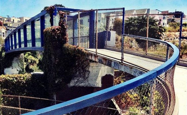 Fallen Bridge Mini-Park Tree Planting