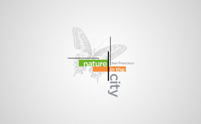 Nature in the City