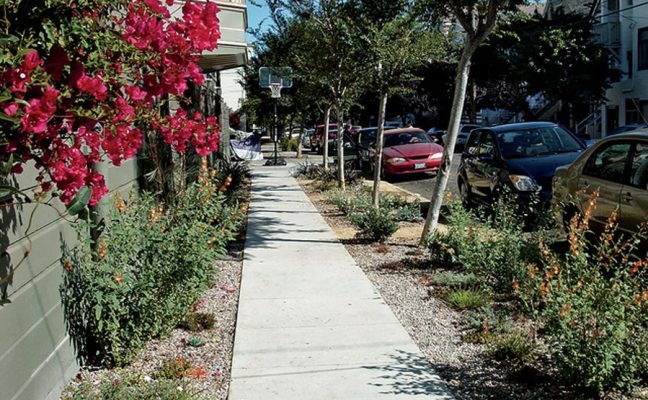 Shotwell Greenway