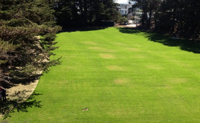 Upper Douglass Dog Park